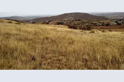 4318 Green Mile Dr, Laporte, CO 80535 - Photo 46