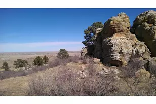 4318 Green Mile Dr, Laporte, CO 80535 - Photo 1