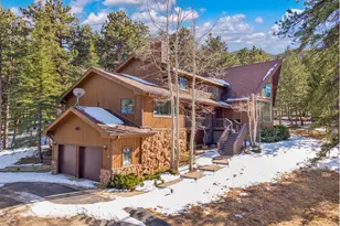 3202 Thunder Mountain Ln, Estes Park, CO 80517 - Photo 30