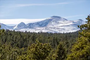 143 Crockett Trl, Ward, CO 80481 - Photo 28