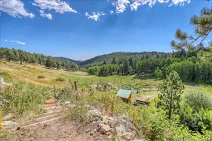 143 Crockett Trl, Ward, CO 80481 - Photo 38