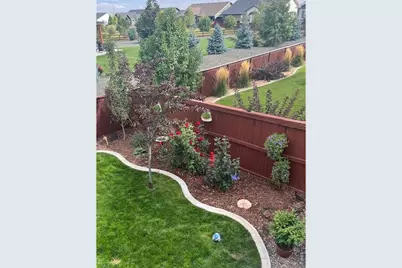 2009 Orchard Bloom Dr, Windsor, CO 80550 - Photo 32