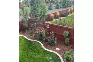 2009 Orchard Bloom Dr, Windsor, CO 80550 - Photo 32