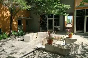 722 Tenacity Dr, Longmont, CO 80504 - Photo 6