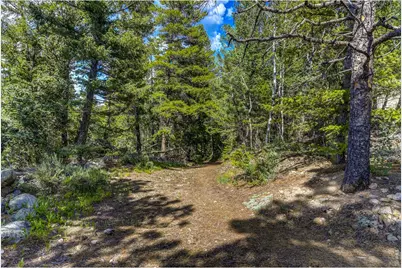 3153 Ridge Rd, Nederland, CO 80466 - Photo 12