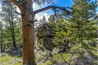 3153 Ridge Rd, Nederland, CO 80466 - Photo 10