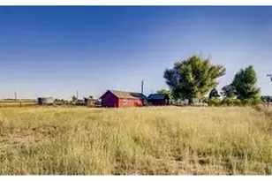 14798 N 115th St, Longmont, CO 80504 - Photo 18