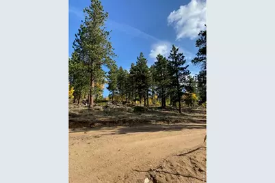 215 Murdock Dr, Red Feather Lakes, CO 80545 - Photo 34