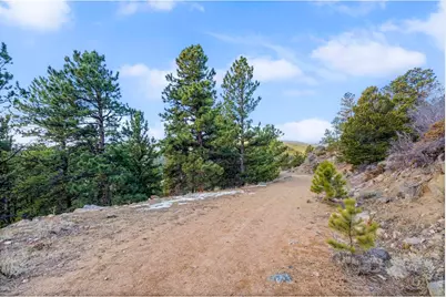 215 Murdock Dr, Red Feather Lakes, CO 80545 - Photo 14