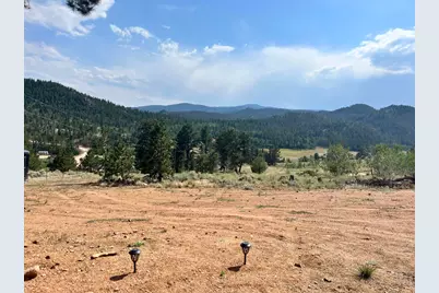 215 Murdock Dr, Red Feather Lakes, CO 80545 - Photo 36