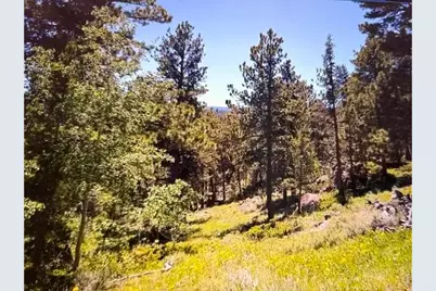 215 Murdock Dr, Red Feather Lakes, CO 80545 - Photo 38