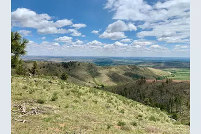 498 Helms Deep Rd, Bellvue, CO 80512 - Photo 22