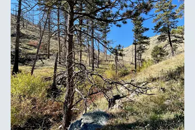 498 Helms Deep Rd, Bellvue, CO 80512 - Photo 28