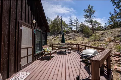 307 Brewster Ln, Livermore, CO 80536 - Photo 18