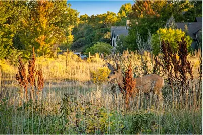 4821 Hay Wagon Ct, Loveland, CO 80537 - Photo 8