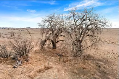 13790 County Road 88, Pierce, CO 80650 - Photo 36