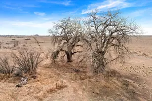 13790 Co Rd 88, Pierce, CO 80650 - Photo 36