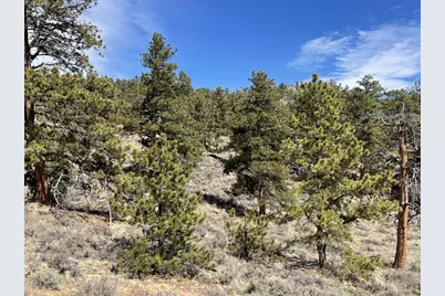 1018 Beartrap Rd, Red Feather Lakes, CO 80545 - Photo 26