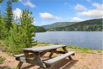 1018 Beartrap Rd, Red Feather Lakes, CO 80545 - Photo 34