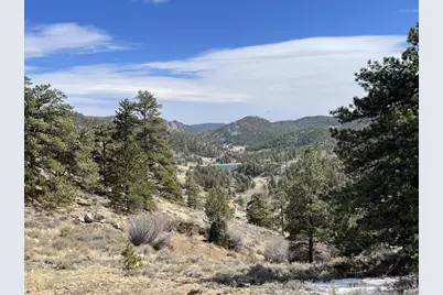 1018 Beartrap Rd, Red Feather Lakes, CO 80545 - Photo 28