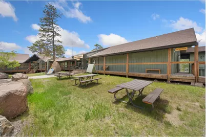 1018 Beartrap Rd, Red Feather Lakes, CO 80545 - Photo 34