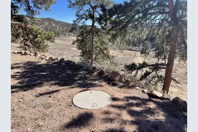 1018 Beartrap Rd, Red Feather Lakes, CO 80545 - Photo 8