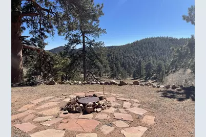 1018 Beartrap Rd, Red Feather Lakes, CO 80545 - Photo 4
