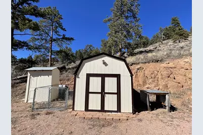1018 Beartrap Rd, Red Feather Lakes, CO 80545 - Photo 10