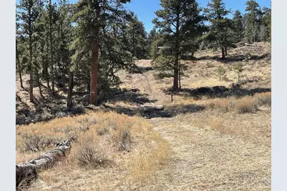 1018 Beartrap Rd, Red Feather Lakes, CO 80545 - Photo 4