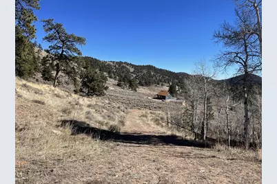1018 Beartrap Rd, Red Feather Lakes, CO 80545 - Photo 24