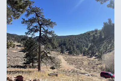 1018 Beartrap Rd, Red Feather Lakes, CO 80545 - Photo 14
