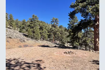 1018 Beartrap Rd, Red Feather Lakes, CO 80545 - Photo 12