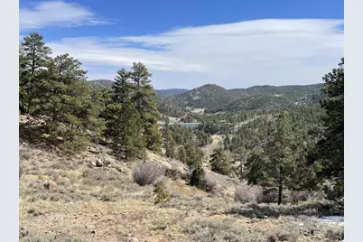 1018 Beartrap Rd, Red Feather Lakes, CO 80545 - Photo 28