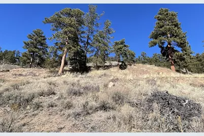 1018 Beartrap Rd, Red Feather Lakes, CO 80545 - Photo 26