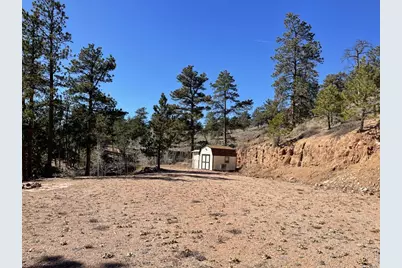 1018 Beartrap Rd, Red Feather Lakes, CO 80545 - Photo 38