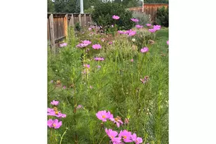 2433 Adobe Dr, Fort Collins, CO 80525 - Photo 40