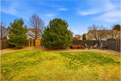 414 Prairie Clover Way, Severance, CO 80550 - Photo 36