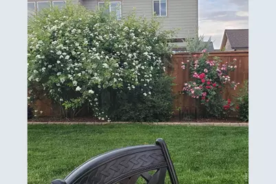 3477 Janus Dr, Loveland, CO 80537 - Photo 32