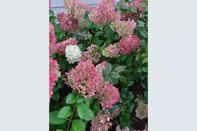 3477 Janus Dr, Loveland, CO 80537 - Photo 34