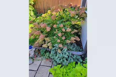 3477 Janus Dr, Loveland, CO 80537 - Photo 36