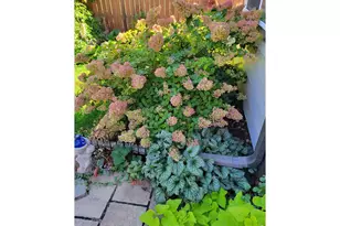 3477 Janus Dr, Loveland, CO 80537 - Photo 36