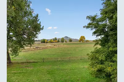 8418 Stirrup Ln, Longmont, CO 80503 - Photo 36