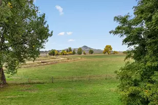 8418 Stirrup Ln, Longmont, CO 80503 - Photo 36