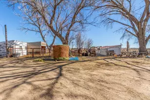 16524 Co Rd 3, Wiggins, CO 80654 - Photo 30
