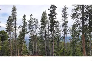 1421 Jicarilla Trail, Red Feather Lakes, CO 80545 - Photo 8