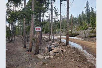 1421 Jicarilla Trl, Red Feather Lakes, CO 80545 - Photo 2