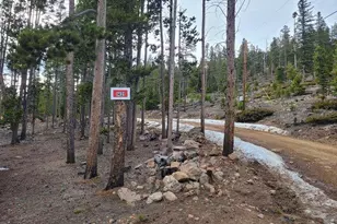 1421 Jicarilla Trail, Red Feather Lakes, CO 80545 - Photo 2