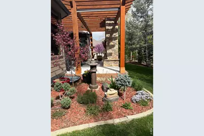 1443 Folsum Dr, Windsor, CO 80550 - Photo 30