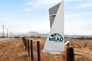 3392 Dryden Pl, Mead, CO 80542 - Photo 30