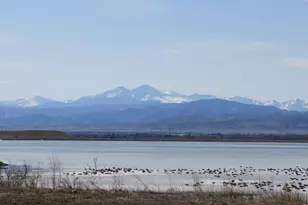6901 Water View Ct, Timnath, CO 80547 - Photo 48